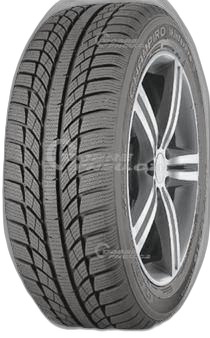 GT Radial Champiro WinterPro