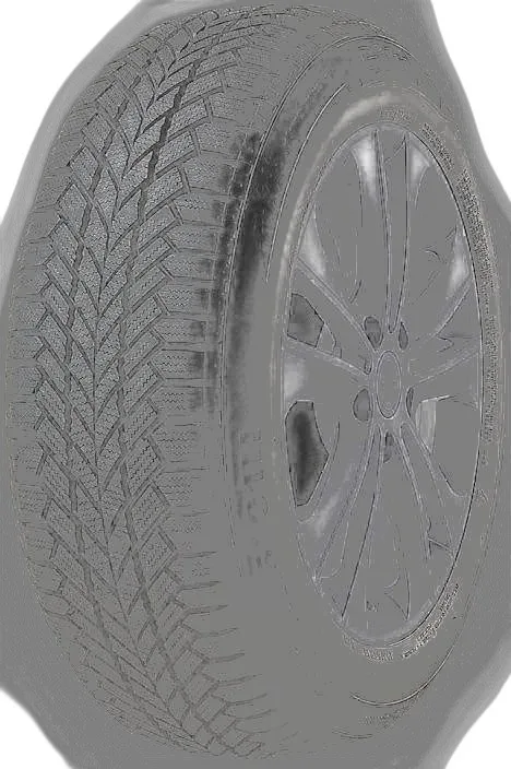 Giti GitiWinter W1