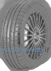 King Meiler Sport 1