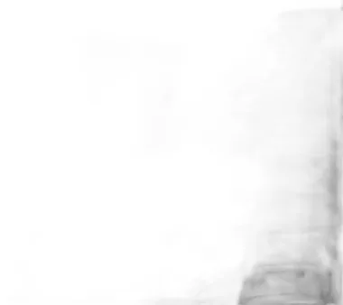 Michelin Primacy HP