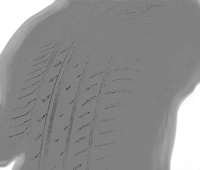 Toyo Proxes T1 Sport plus